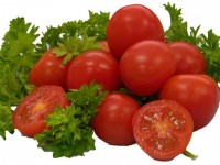 Tomaatin viljely kasvihuoneessa